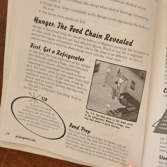 the sims • livin' large player guide - Picture 5 of 6